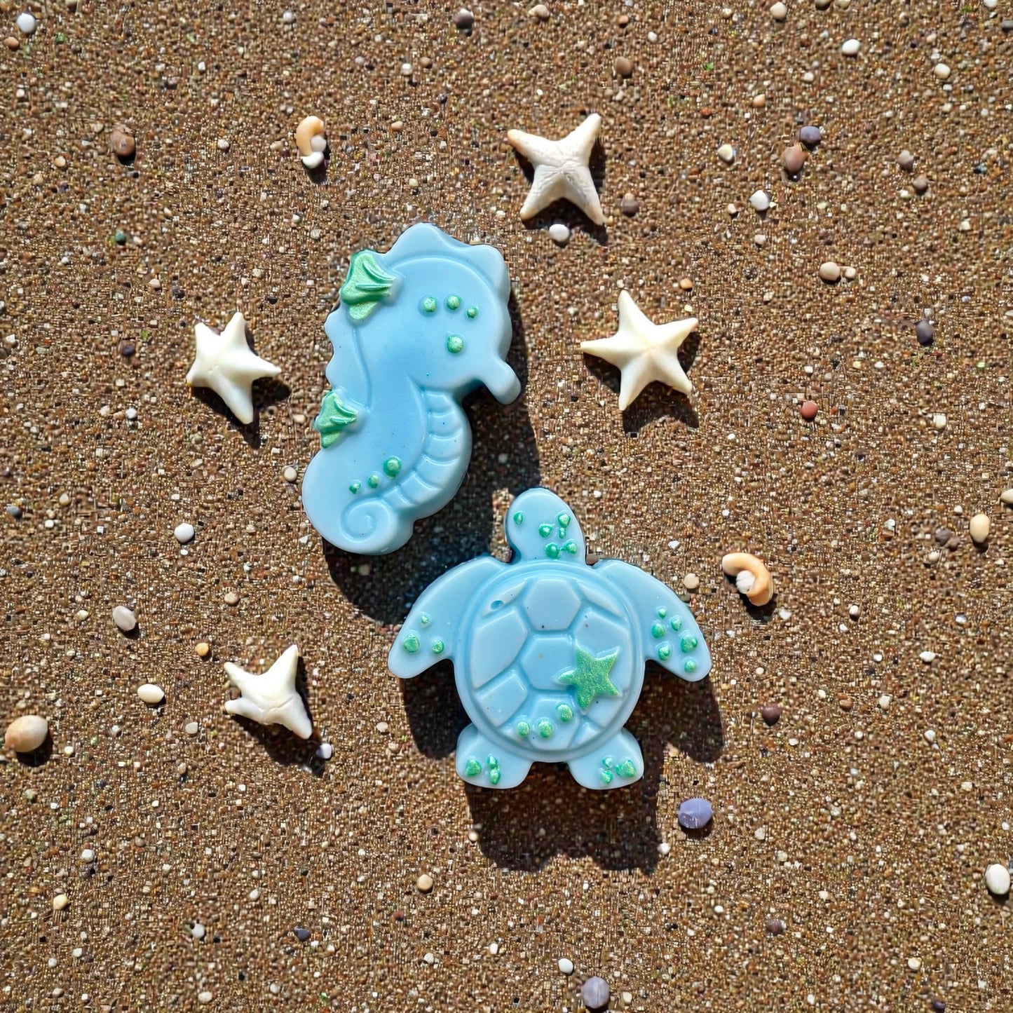 Rockpools sea shapes