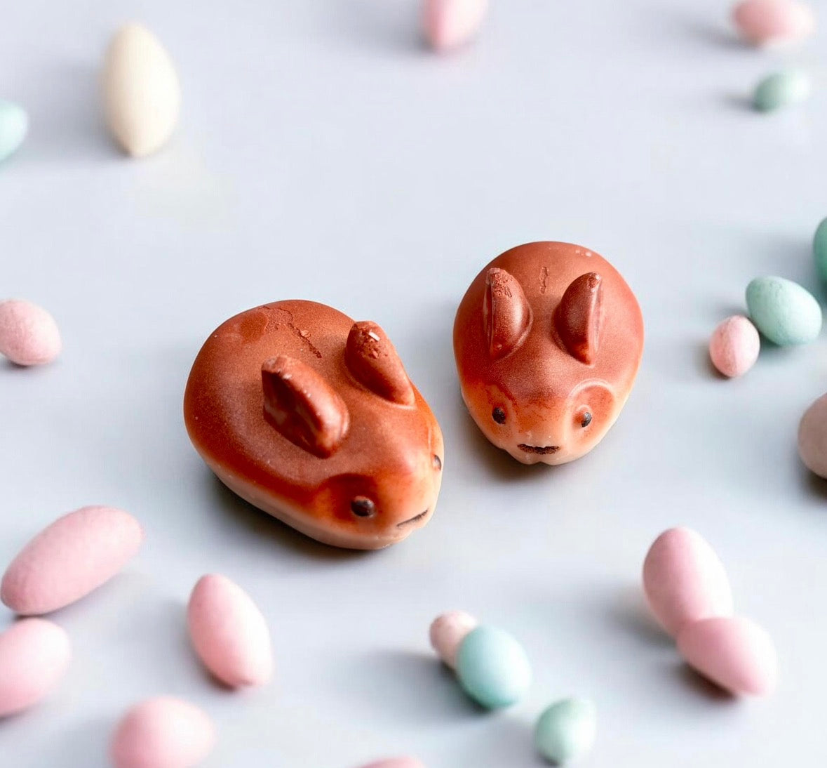 Sweet spring truffle bunny