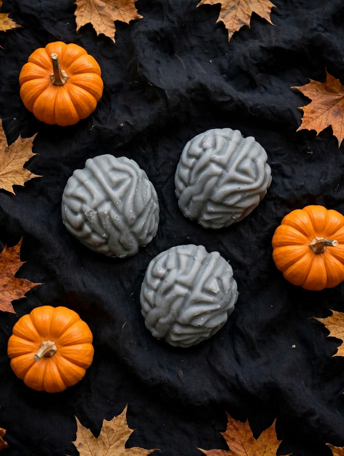 The Thinking Dead brains
